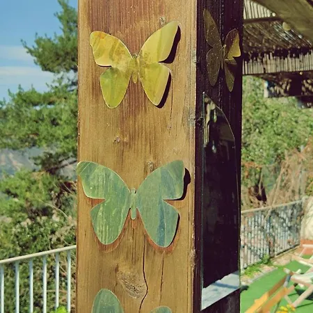 Monteiro's Gerês Ferral