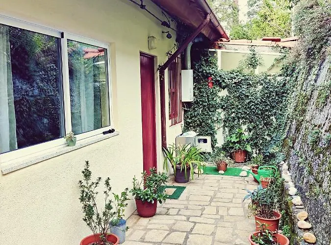 Monteiro's Geres Ferienhaus Ferral