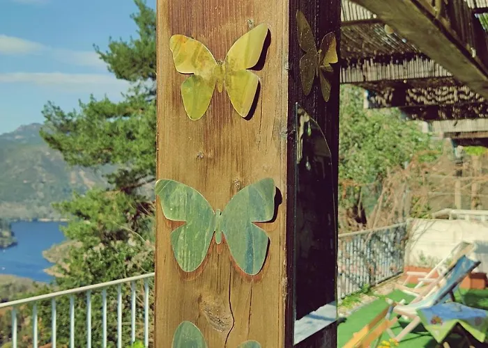 Monteiro's Geres Ferral